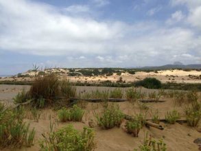 Hoge duinen Piscinas